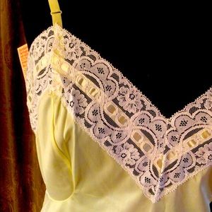 Gorgeous spring vintage Gaymode by Penney’s slip